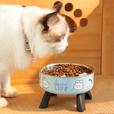 Chat observant sa Gamelle chat surélevée en restant debout