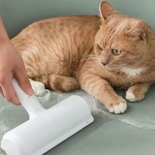chat observe la Brosse anti poil