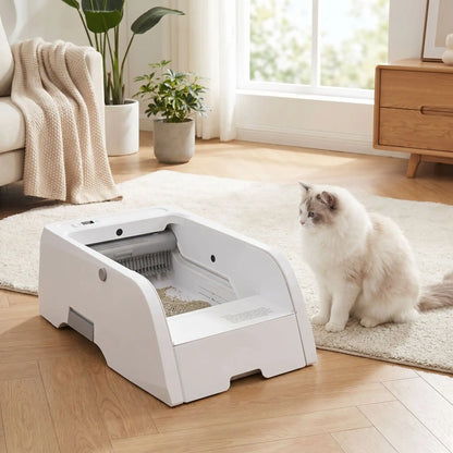 chat observe le nettoyage du bac a litiere automatique chat
