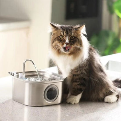 chat poilu a bu fontaine a eau chat