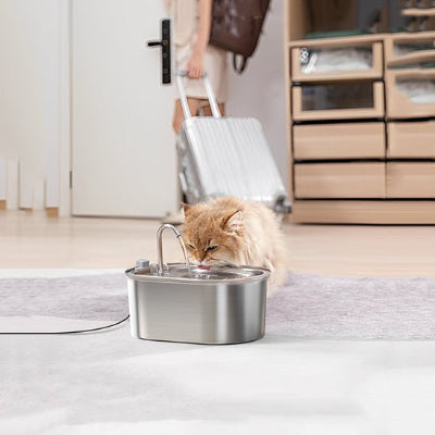 chat poilu buvant dans fontaine a eau pour chat