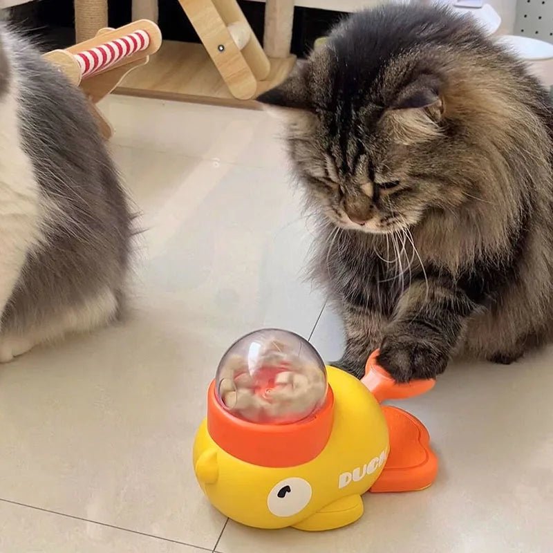 chat poilu jouant avec  jouet distributeur de croquettes chat