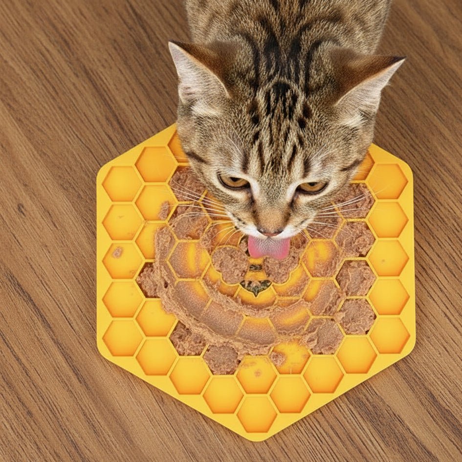 chat prends sa pâté dans le tapis anti-glouton chat 