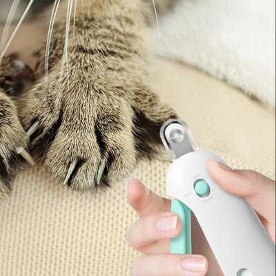 Chat préparé à la coupe ongle chat sur la table