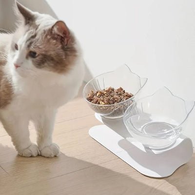 chat près du gamelle chat surélevée