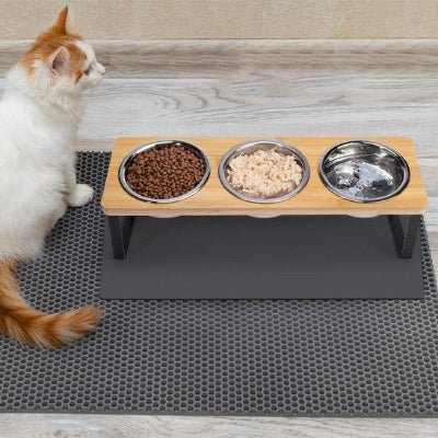 Chat proche de sa gamelle chat 