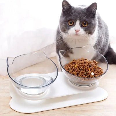 chat proche du gamelle chat surélevée