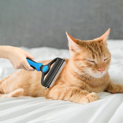 Chat profitant d’un moment de toilettage avec brosse chat