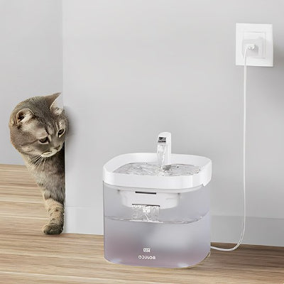 chat prudent devant la fontaine a eau pour chat