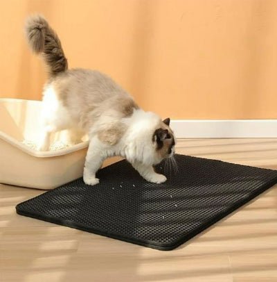 Chat quittant le bac sur un tapis litière chat
