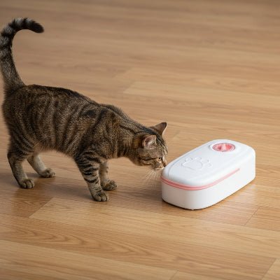 chat rayé renifle distributeur croquette chat simple rose