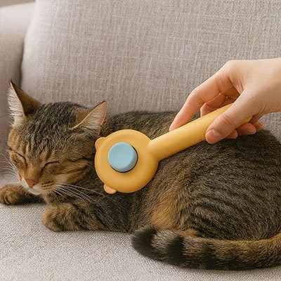 Chat recevant un massage avec une brosse pour Chat