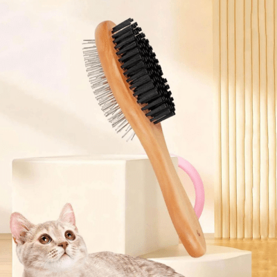 chat regardant la brosses pour chat 