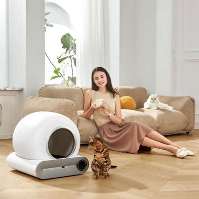 Mettre le bac à litière chat dans le salon, avec un chat qui le regarde