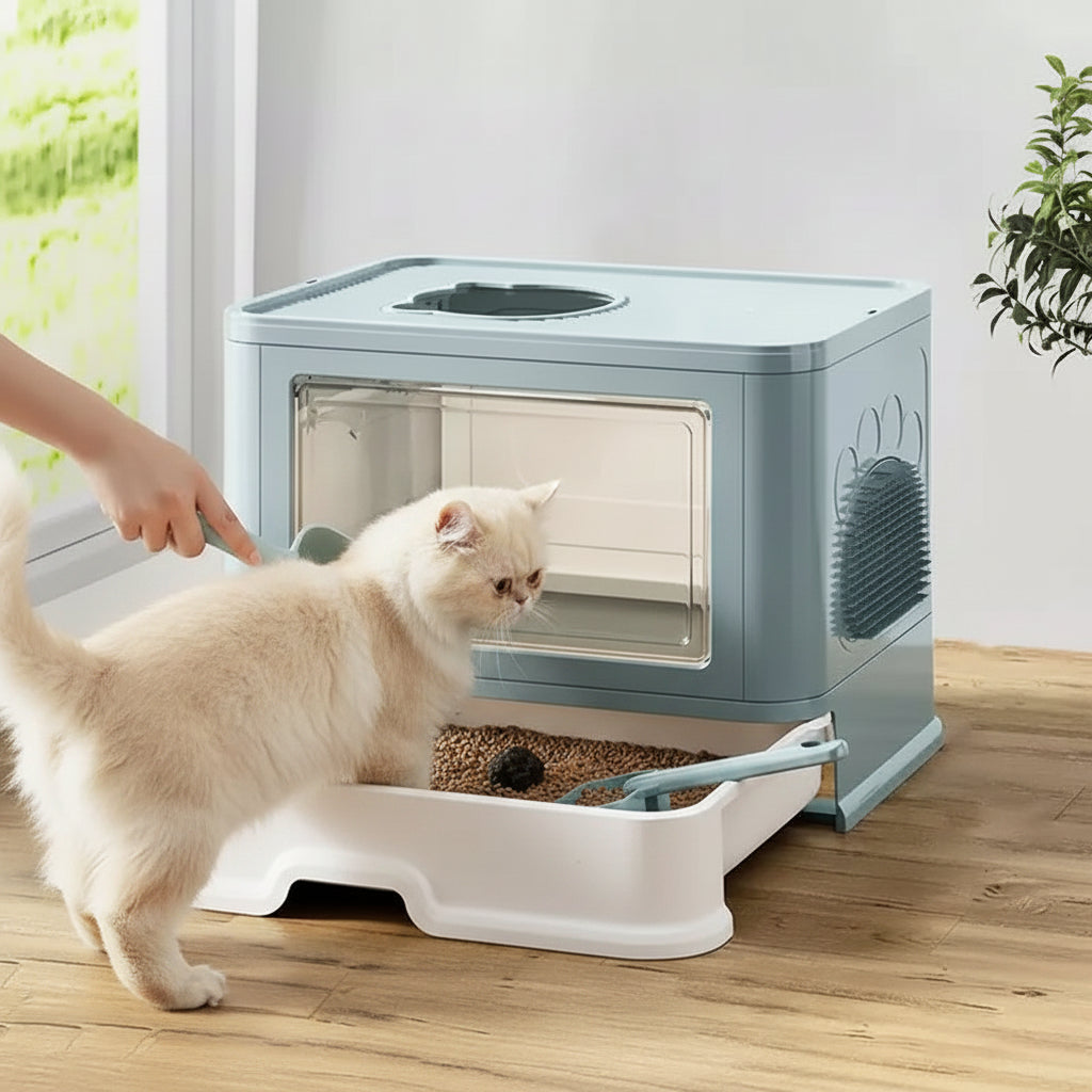 chat regarde bac a litiere ferme chat