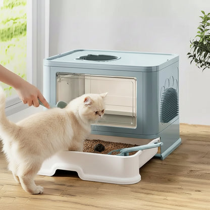 chat regarde bac a litiere ferme chat