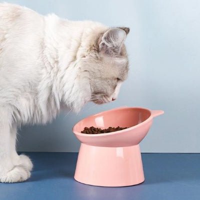 chat regarde gamelle en hauteur pour chat
