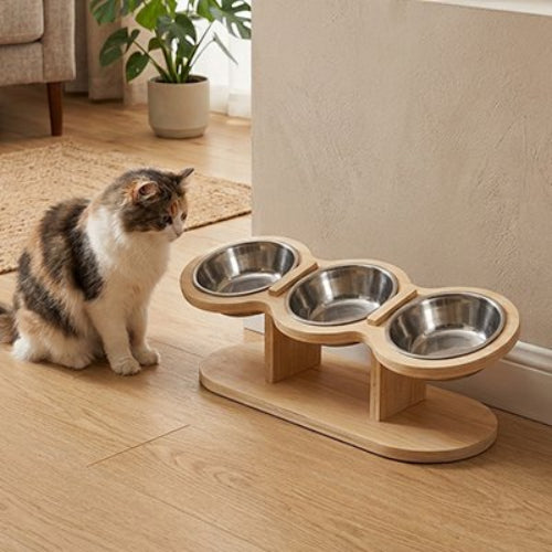 chat regarde gamelles pour chats