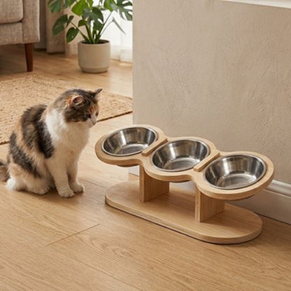 chat regarde gamelles pour chats