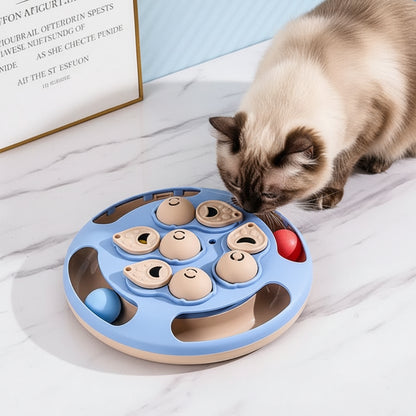 chat renifle la gamelle ludique pour chat