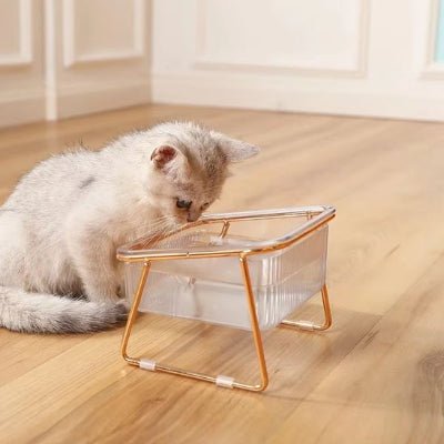 chat renifle la gamelles pour chats simple