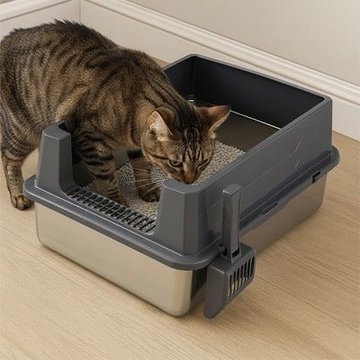 Le chat renifle la litière à l’intérieur du bac à litière pour Chat