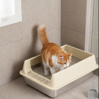 chat rentrant dans le bac a litiere chats