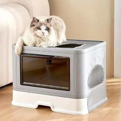 Le chat se repose sur le bac pour litière chat