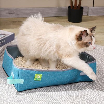 chat ressort du Bac à litière Chat