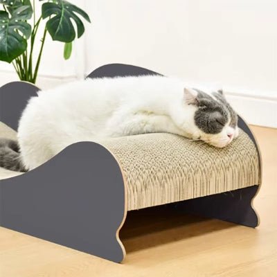 Chat roux détendu sur le griffoir chat