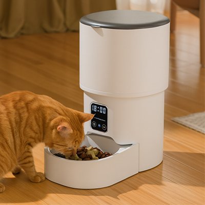 chat roux mange repas distributeur de croquettes pour chat automatique blanc