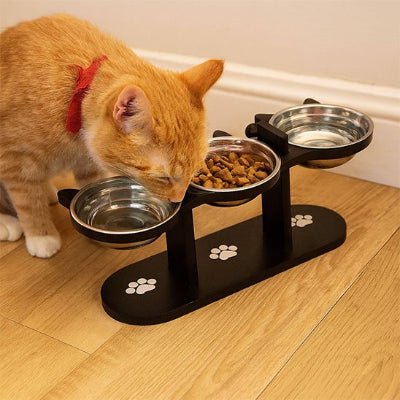 chat roux mangeant dans gamelles pour chats