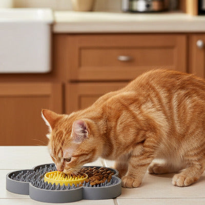 chat roux mangeant pâté dans la gamelles anti glouton chat 