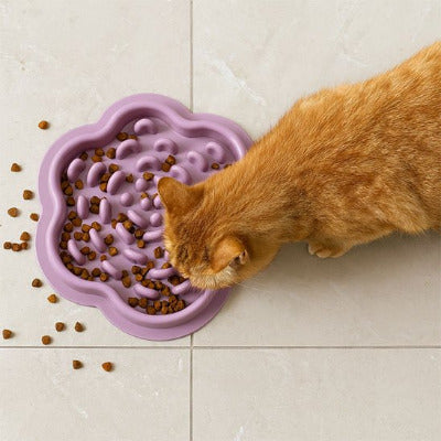 chat roux mangeant repas dans une gamelles anti glouton chat violet