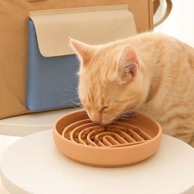 chat roux prend son repas dans la gamelle  anti glouton orange