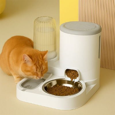 chat roux savoure eau frais distributeur croquettes chat et eau