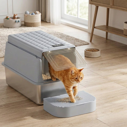 chat roux sortant bac a litiere ferme chat grande taille
