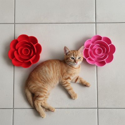 chat roux allongé à côté d’une gamelle anti glouton