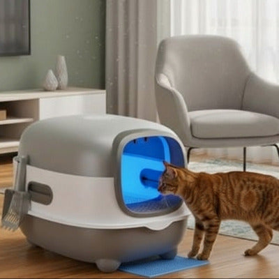 Chat s’approchant de la porte du bac à litière