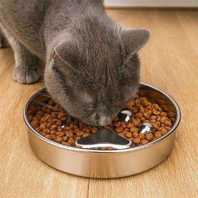 chat savoure ses croquettes dans une gamelle anti glouton en inox