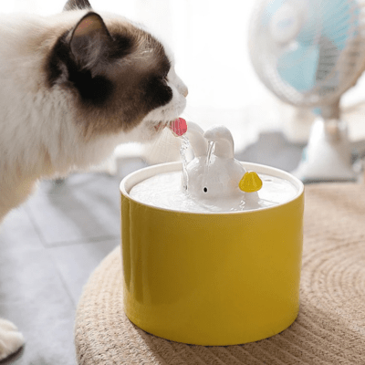 chat savoure l'eau de la fontaine a eau pour chat ceramique jaune