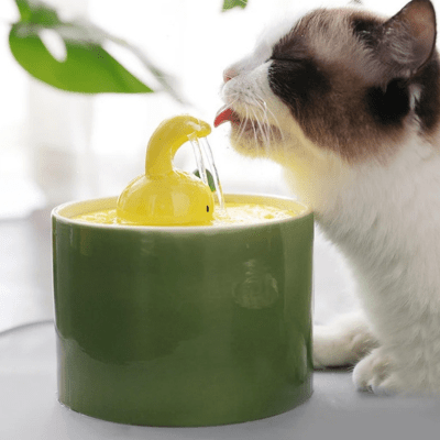 chat savoure l'eau de la fontaine a eau pour chat ceramique
