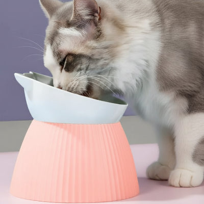 Chat se nourrissant dans sa gamelle surélevée chat