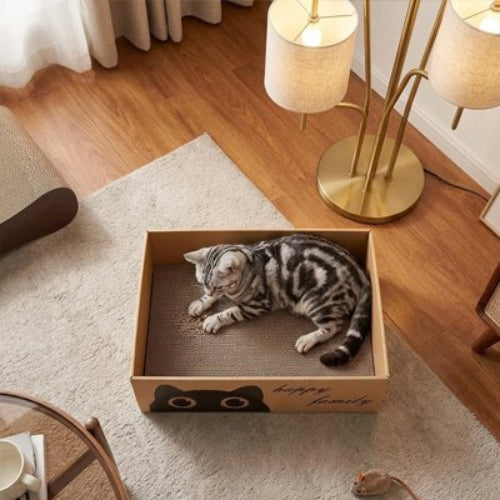 chat se repose griffoir en carton pour chat