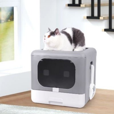 chat s'installe en  ci-dessus du bac a litiere pour chat