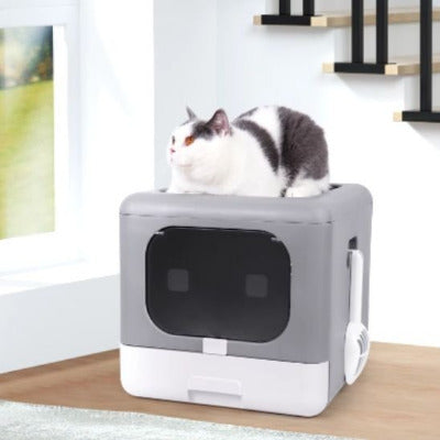 chat s'installe en  ci-dessus du bac a litiere pour chat