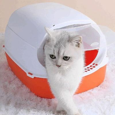 Le chat sort lentement du bac à litière pour chat