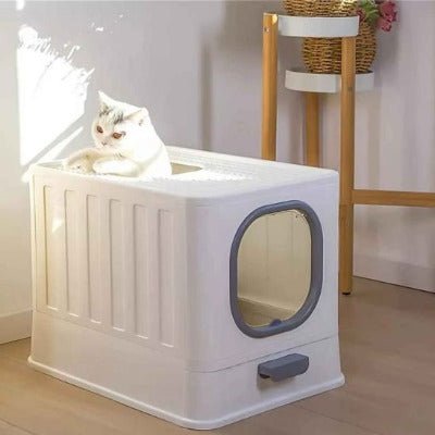 Le chat sort par le dessus du bac pour litière chat