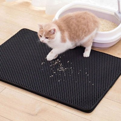Chat sortant du bac sur tapis litière chat