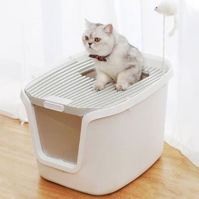 chat sortant du bac a litiere chats